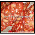 Chinese Fresh Chestnut,High Quality